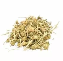 Якорцы (плоды)